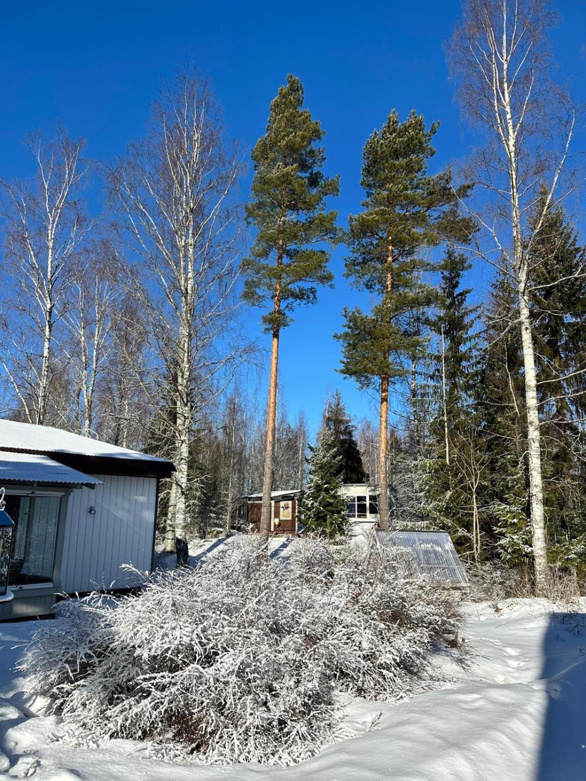 Cottage Viardo Vehkataipale 部屋 写真